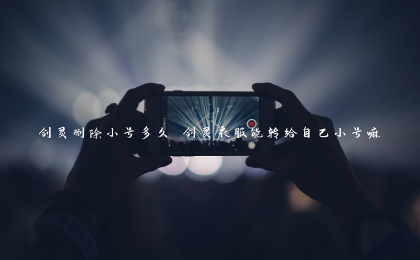 剑灵删除小号多久 剑灵衣服能转给自己小号嘛