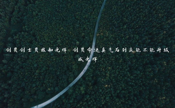 剑灵剑士灵核和光辉 剑灵命运真气石到底能不能升级成光辉