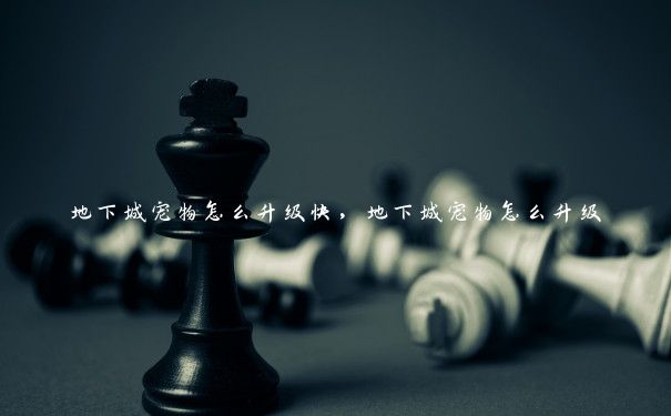 地下城宠物怎么升级快,地下城宠物怎么升级