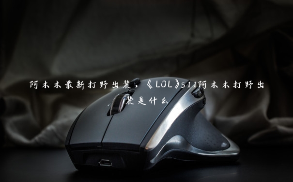 阿木木最新打野出装,《LOL》s11阿木木打野出装是什么