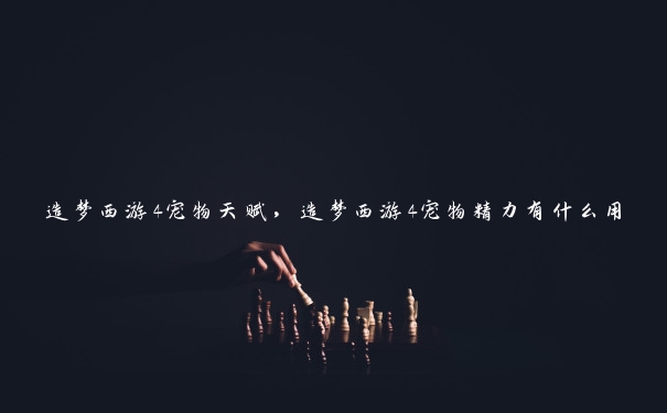 造梦西游4宠物天赋,造梦西游4宠物精力有什么用