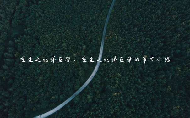 重生之北洋巨擘,重生之北洋巨擘的章节介绍