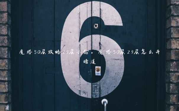 魔塔50层攻略29层小偷,魔塔50层29层怎么开暗道