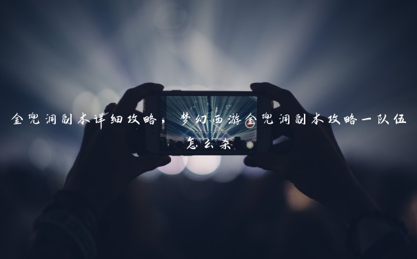 金兜洞副本详细攻略,梦幻西游金兜洞副本攻略一队伍怎么杀