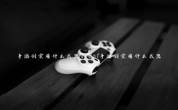 手游剑宗用什么武器,dnf手游剑宗用什么武器